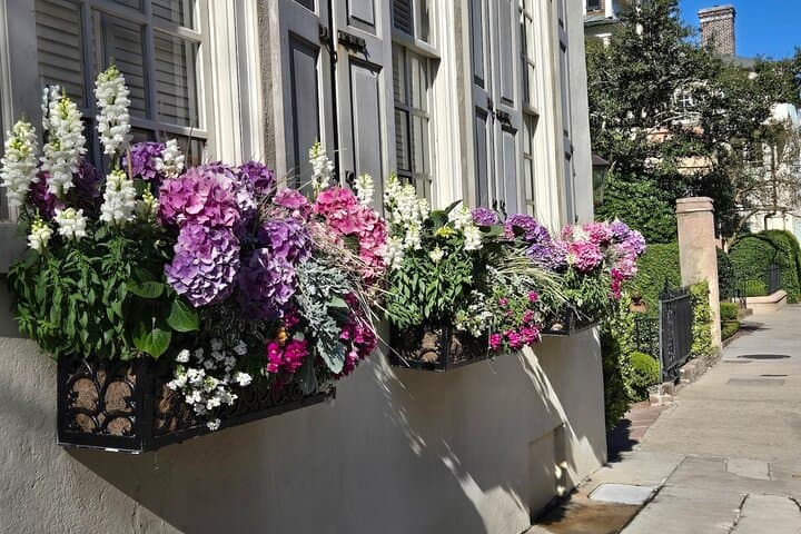 Inside Charleston: A 90-Minute Walking Tour of Revolution, Rumors & Riverfront Views photo 4