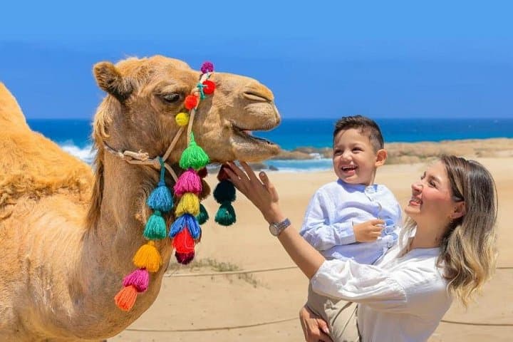 Cactus Tours 3-for-1 Adventure Combo in Los Cabos: ATVs, Camels, Horses & Sky Bikes photo 2
