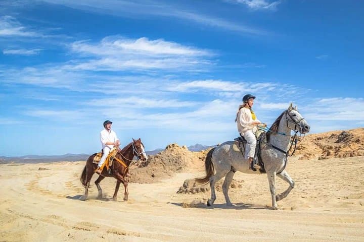 Cactus Tours 3-for-1 Adventure Combo in Los Cabos: ATVs, Camels, Horses & Sky Bikes photo 4
