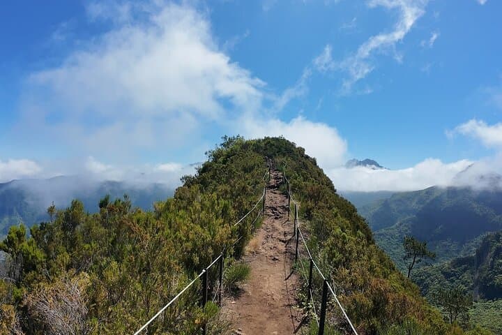 Madeira Bica da Cana to Encumeada: Guided Laurisilva Hike Along Levadas and Tunnels