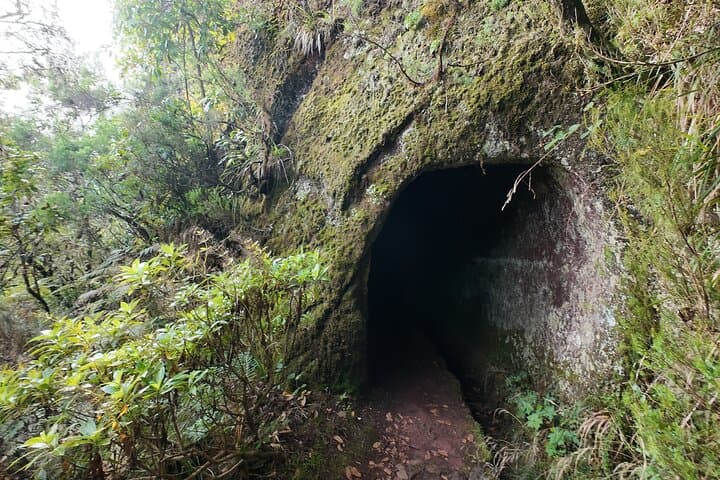 Madeira Bica da Cana to Encumeada: Guided Laurisilva Hike Along Levadas and Tunnels photo 2