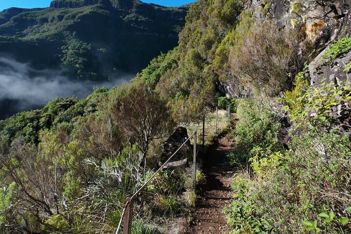 Madeira Bica da Cana to Encumeada: Guided Laurisilva Hike Along Levadas and Tunnels photo 5