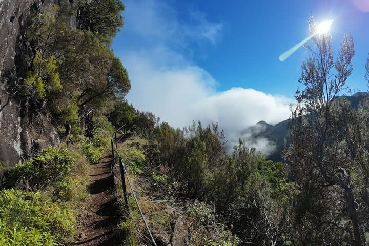 Madeira Bica da Cana to Encumeada: Guided Laurisilva Hike Along Levadas and Tunnels photo 6