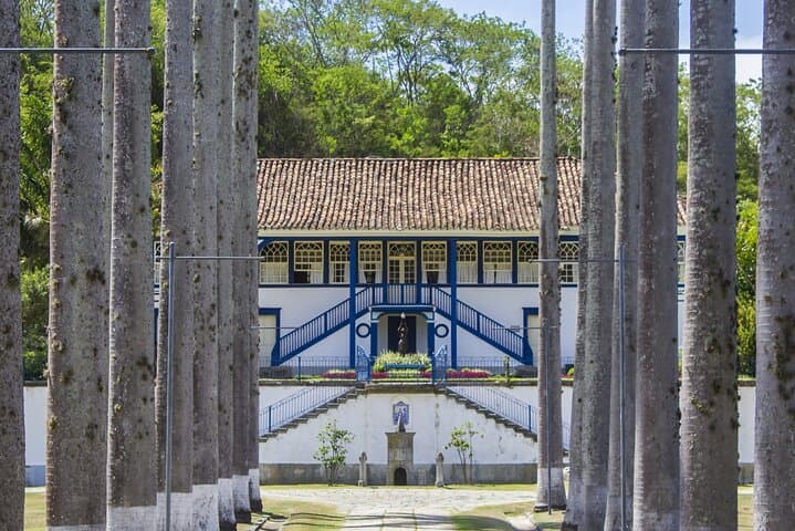 Coffee Barons and Artisanal Tastings: Guided Tour of Brazil's Coffee Valley
