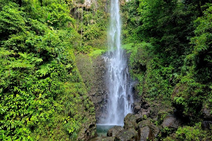 Dominica Adventure: Hike Middleham Falls, Swim Titou Gorge & Soak in Ti Kwen Glo Cho photo 2