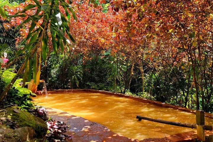 Dominica Adventure: Hike Middleham Falls, Swim Titou Gorge & Soak in Ti Kwen Glo Cho photo 4