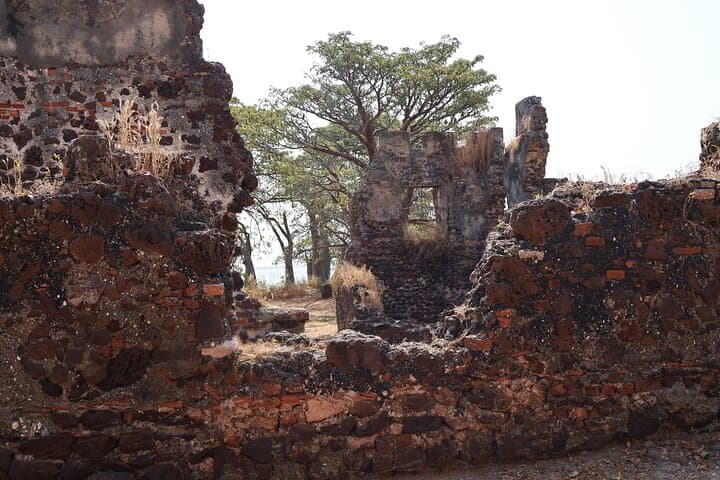 Roots River Cruise to Kunta Kinteh Island: History, River Life, and Village Visits photo 4