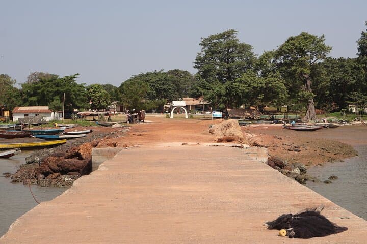 Roots River Cruise to Kunta Kinteh Island: History, River Life, and Village Visits photo 5