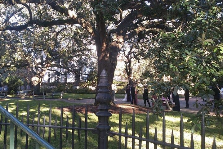 Inside Charleston: A 90-Minute Walking Tour of Revolution, Rumors & Riverfront Views photo 6