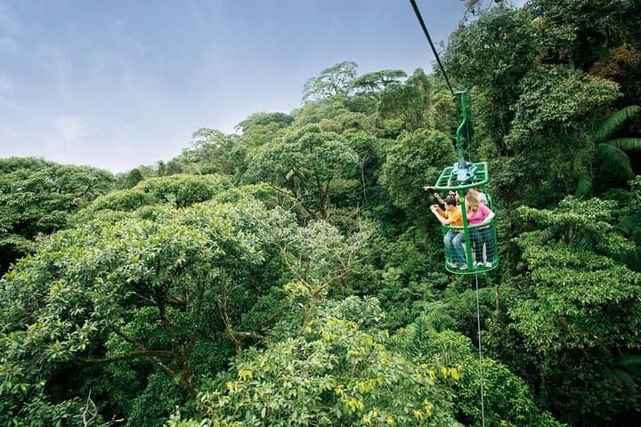 Rain Forest Adventure Full-Day Tour from San José — Braulio Carrillo & Sarapiquí photo 4