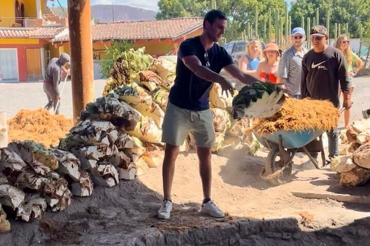 Tradicional Mezcal Experience in Mitla — Family Distillery & Agave Fields photo 3