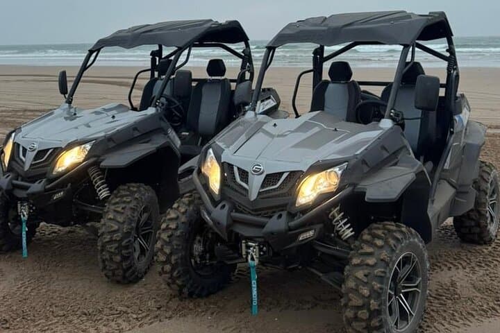 Agadir Quad & Buggy Adventure: Dunes, Euphorbia Forest and Beach Ride (2-Hour) photo 3