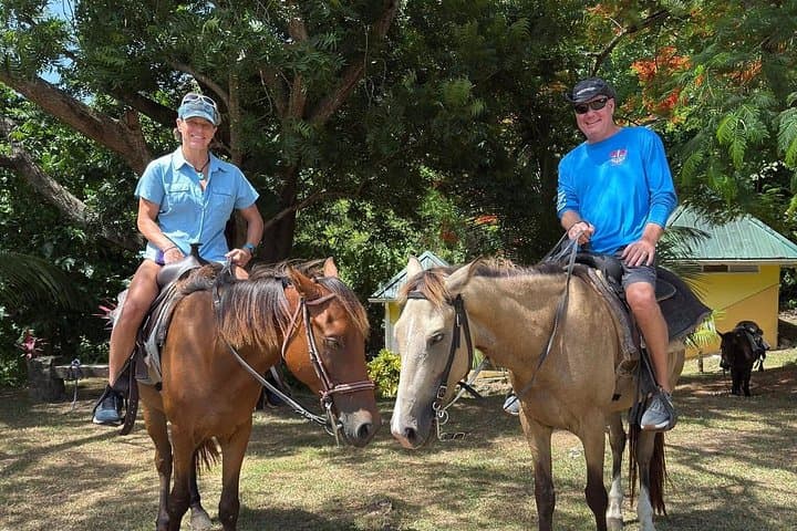 St. Lucia Horseback & Zipline Adventure: Ride Rainforest Trails and Soar Treetop Lines photo 3