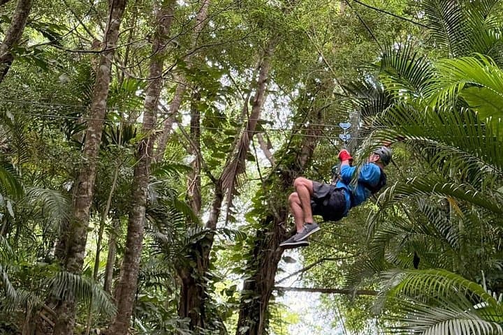 St. Lucia Horseback & Zipline Adventure: Ride Rainforest Trails and Soar Treetop Lines photo 4