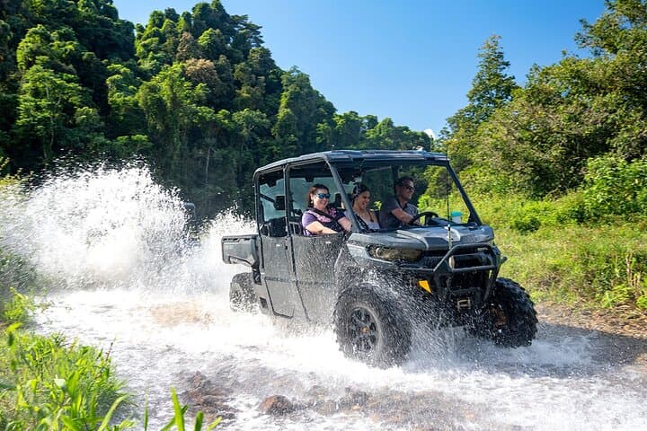 UTV Adventure to Cassowary Falls — Daintree Rainforest Off‑Road Experience
