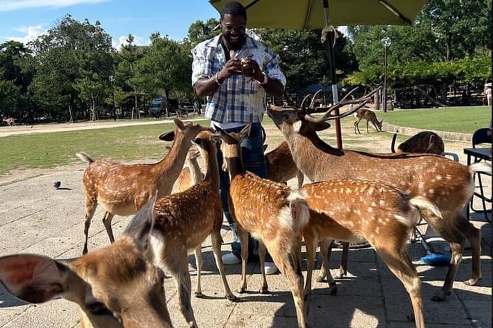 Private Kyoto & Nara Car Tour with Local English Guide and Driver