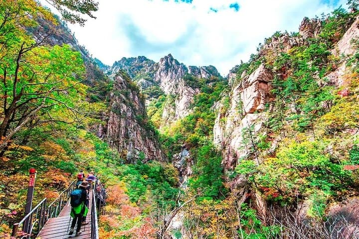 Seorak and Naksansa Day Trip from Seoul: Fall Peaks and Coastal Temple Views