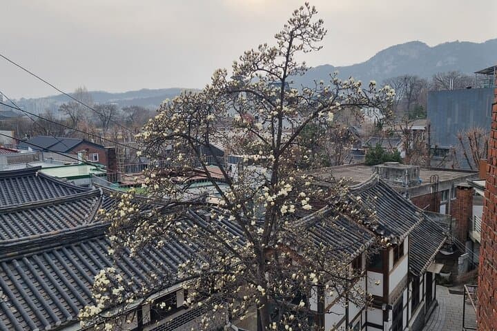 Seoul Royal Palaces & Hidden Gems: Customizable Private Tour photo 5