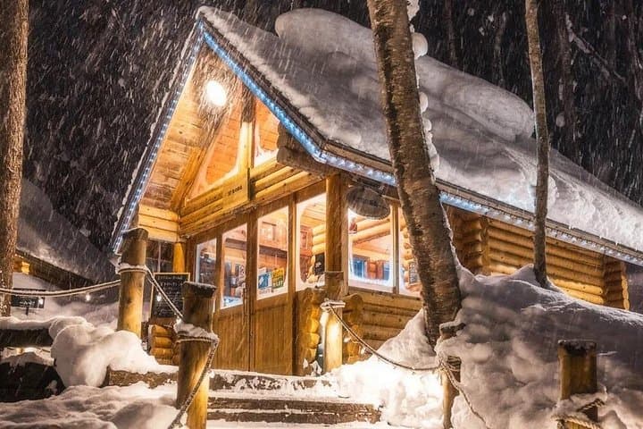 Hokkaido Day Trip: Asahiyama Zoo, Blue Pond & Ningle Terrace from Sapporo photo 3