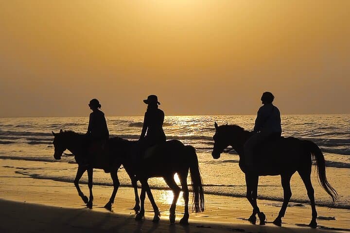 Horseback Riding on Al Sawadi Beach — Private Guided Beach Ride from Muscat photo 4