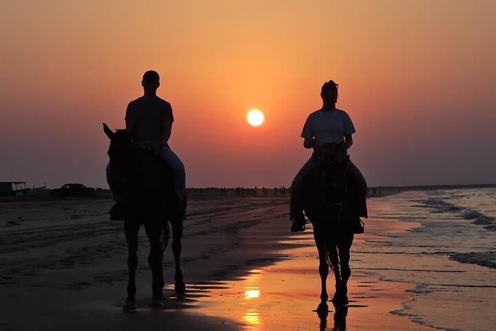 Horseback Riding on Al Sawadi Beach — Private Guided Beach Ride from Muscat photo 5