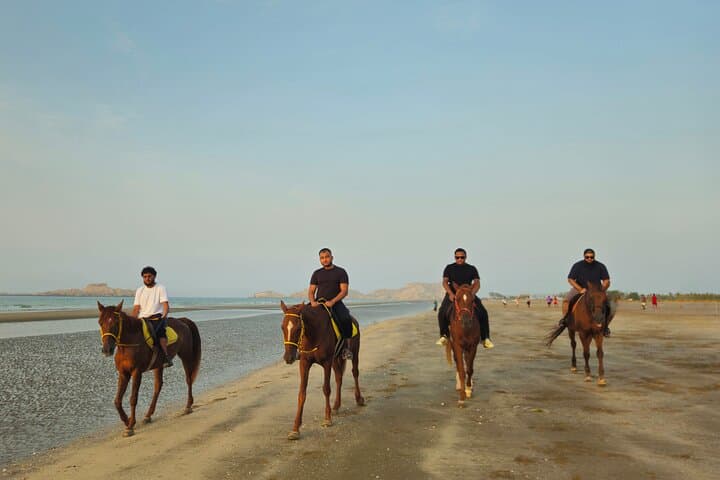 Horseback Riding on Al Sawadi Beach — Private Guided Beach Ride from Muscat photo 6