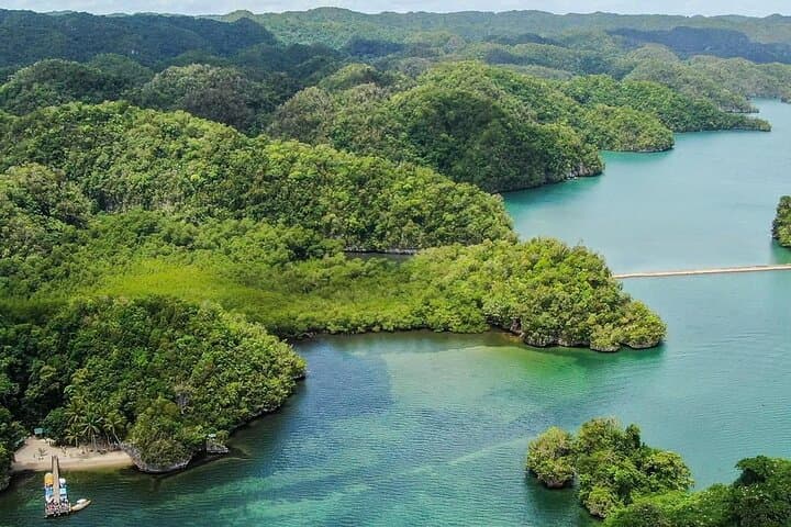 Kayak Los Haitises: Ferry, Mangroves, Caves and Natural Pools from Las Terrenas photo 3