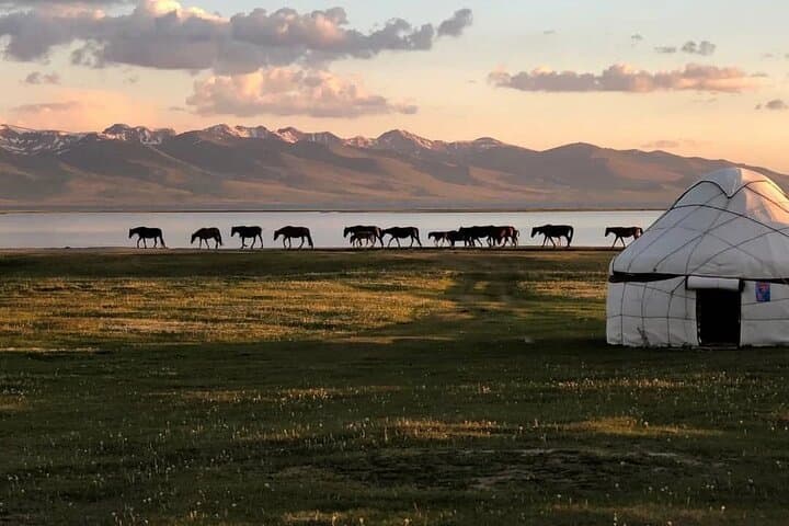 Son-Kul Horseback Riding & Yurt Stay — 3-Day Nomadic Adventure in Kyrgyzstan photo 2