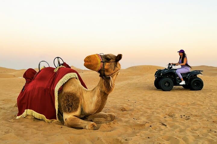 Abu Dhabi Evening Desert Safari: Dune Bashing, Falconry & Starry BBQ