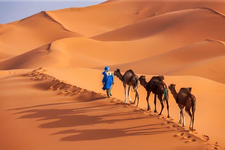 Zagora Desert 2-Day Tour from Marrakech: Camels, Kasbahs and Berber Camp photo 5