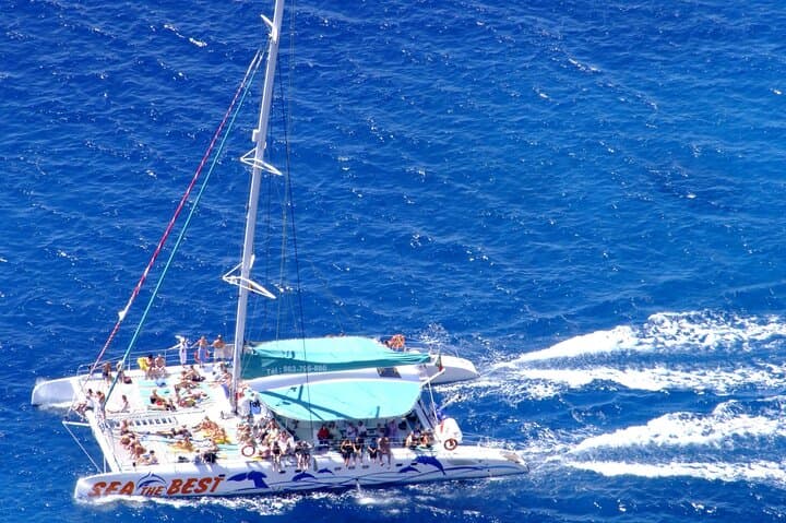 Funchal Dolphin & Whale-Watching Catamaran Tour — Madeira Marine Safari photo 2
