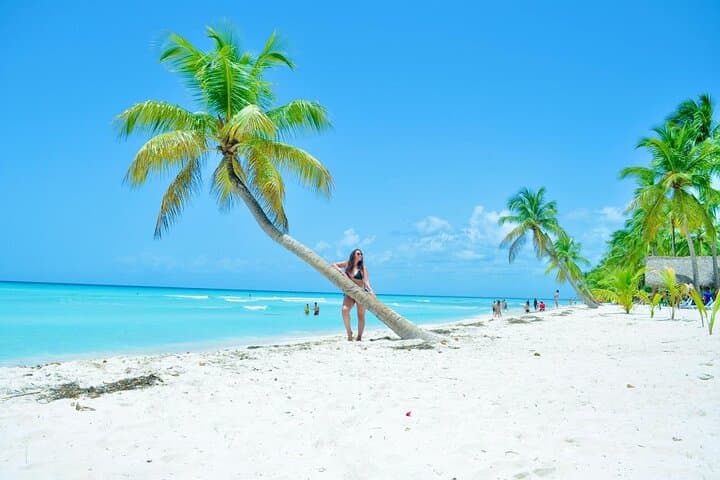 Saona Island Catamaran & Speedboat Day Trip with Lunch and Open Bar