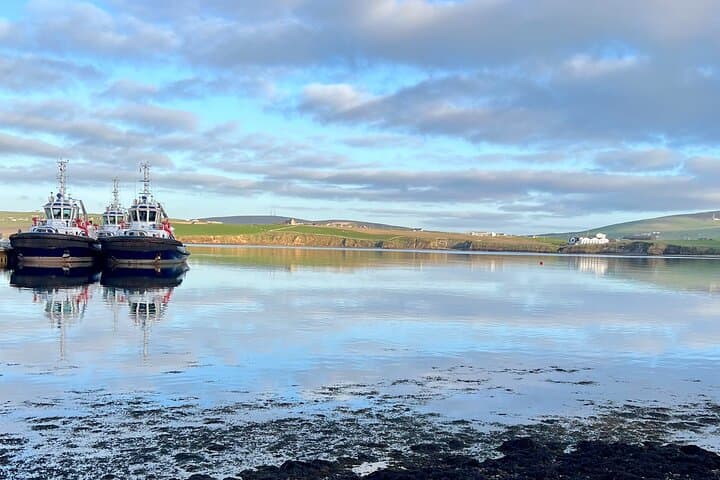 Orkney Beaches, Cliffs & Standing Stones: Scenic Coastal Tour from Kirkwall photo 4