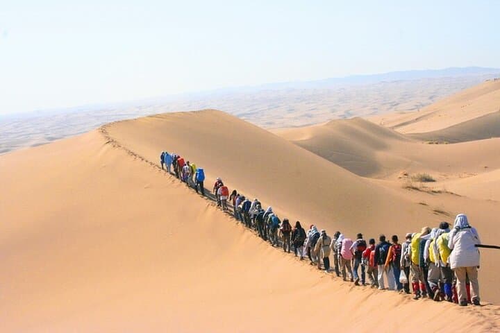 Sunrise Desert Walk & Camel Ride in Abu Dhabi's Al Khatim Dunes