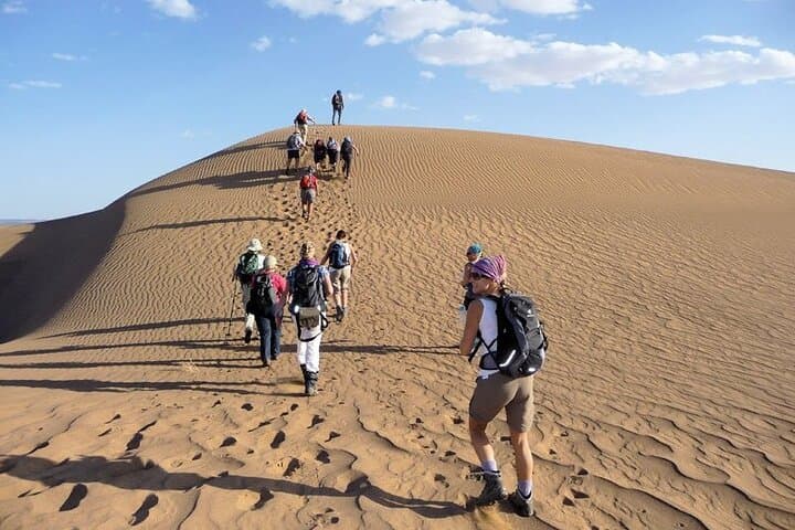 Sunrise Desert Walk & Camel Ride in Abu Dhabi's Al Khatim Dunes photo 2