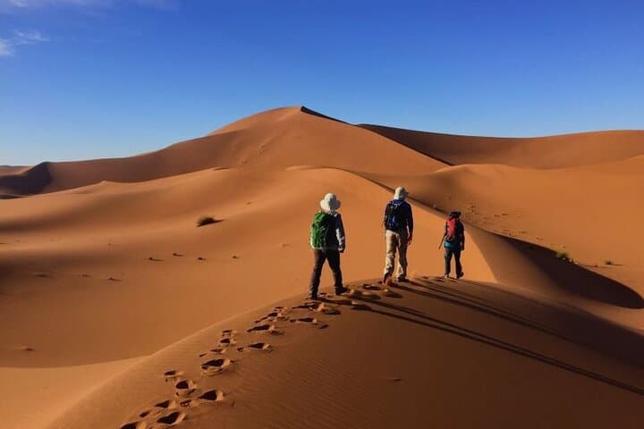 Sunrise Desert Walk & Camel Ride in Abu Dhabi's Al Khatim Dunes photo 3