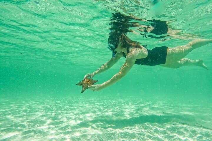 Private Yacht to Isla Saona & Palmilla Natural Pool — Full-Day Luxury from Bayahibe photo 6