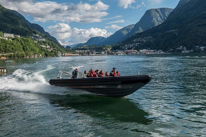 RIB Fjord Safari on the Hardangerfjord from Odda — Glacier Views, Orchards & Wildlife
