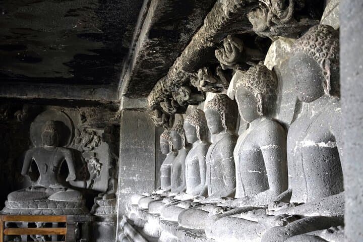 Mumbai Nature & Wildlife Tour: Tiger Safari and Kanheri Caves Day Trip