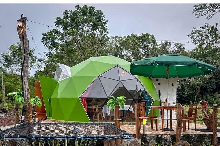Tortoise Dome Lodge: Stay with Giant Tortoises and Explore Lava Tunnels on Santa Cruz Island