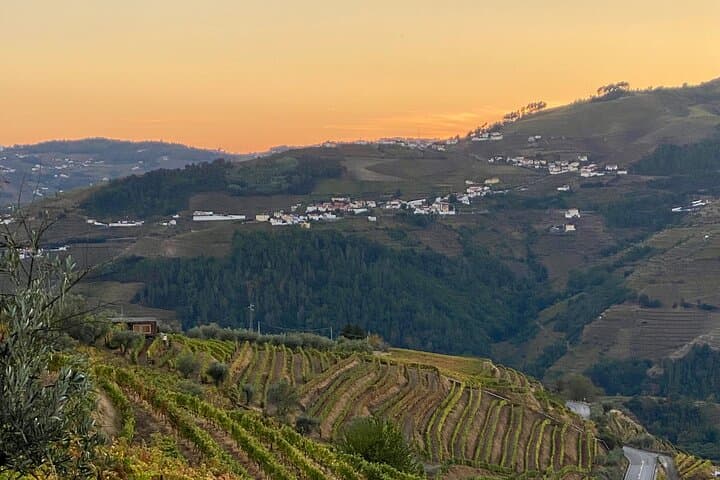 Douro Valley Sunset Walk: Vineyards, Terraces & Golden-Hour Views