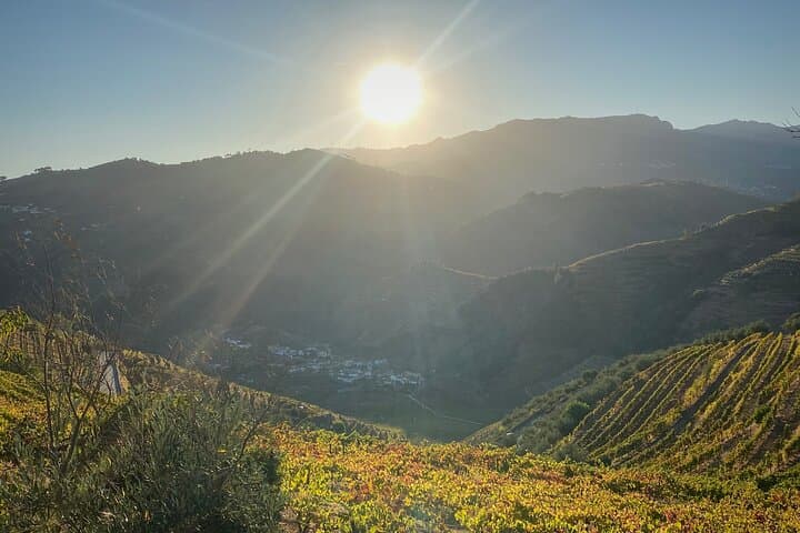Douro Valley Sunset Walk: Vineyards, Terraces & Golden-Hour Views photo 5