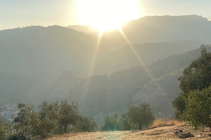 Douro Valley Sunset Walk: Vineyards, Terraces & Golden-Hour Views photo 2