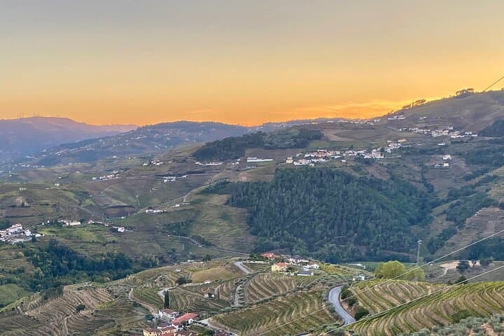 Douro Valley Sunset Walk: Vineyards, Terraces & Golden-Hour Views photo 6