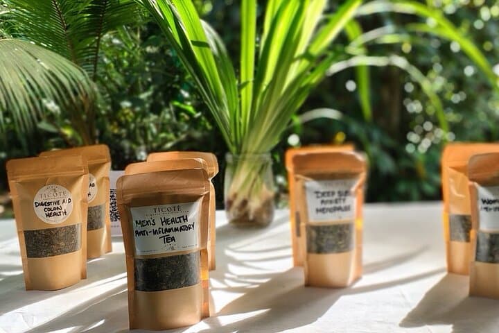 Ticote Medicine Farm Tour — Healing Plants and Indigenous Remedies Near La Fortuna photo 2