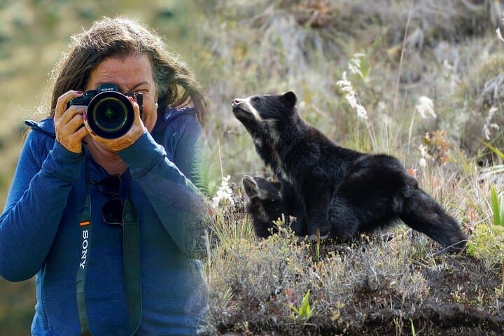 Spectacled Bear Photography Expedition — Chingaza National Park Day Trip from Bogotá