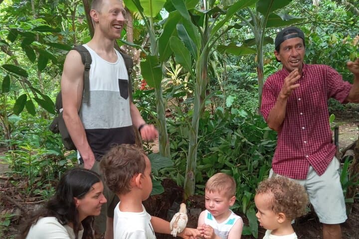 Ticote Medicine Farm Tour — Healing Plants and Indigenous Remedies Near La Fortuna photo 5
