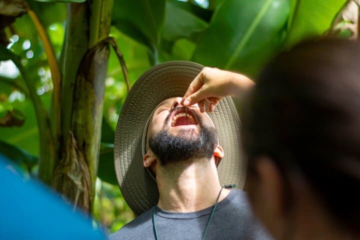 Ticote Medicine Farm Tour — Healing Plants and Indigenous Remedies Near La Fortuna photo 6