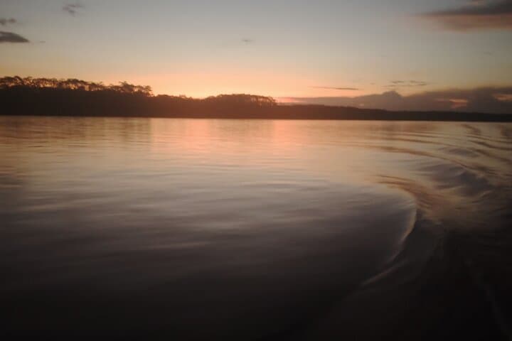 3-Day Amazon Rainforest Tour from Iquitos — Rivers, Pink Dolphins & Indigenous Culture photo 2