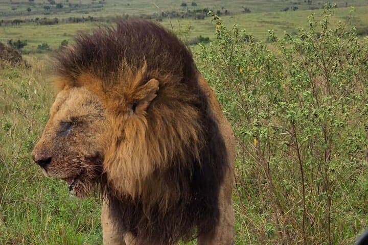 Tarangire National Park One-Day Safari from Arusha — Elephants, Baobabs & River Game Drives photo 2